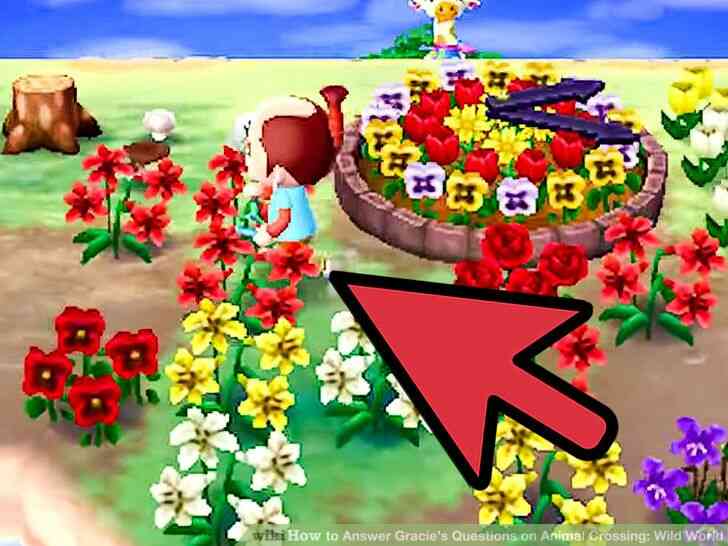 Image intitulée Réponse Gracie Questions sur les Animaux Crossing_ Monde Sauvage de l